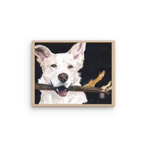 Domini Canis
