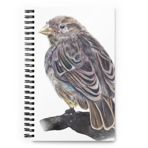Nature Study Common Arts Dotted Notebook - Sparrow Pencil Illustration